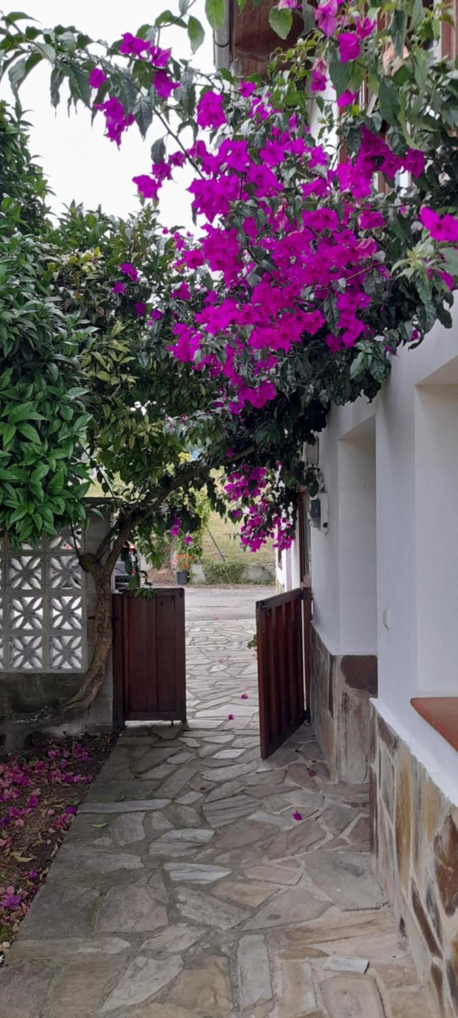 Gestiona2R - Casa Con Finca En Pendueles Al Lado De La Playa 利亚内斯 外观 照片